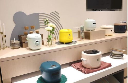 失去了年輕人的寵愛，小家電行業該如何破局？