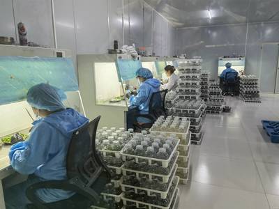 技術(shù)推廣服務(wù) 推動創(chuàng)新落地與產(chǎn)業(yè)升級